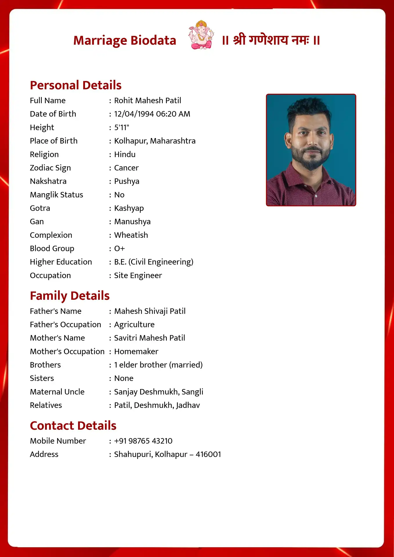 Abstract Flames marriage biodata format template